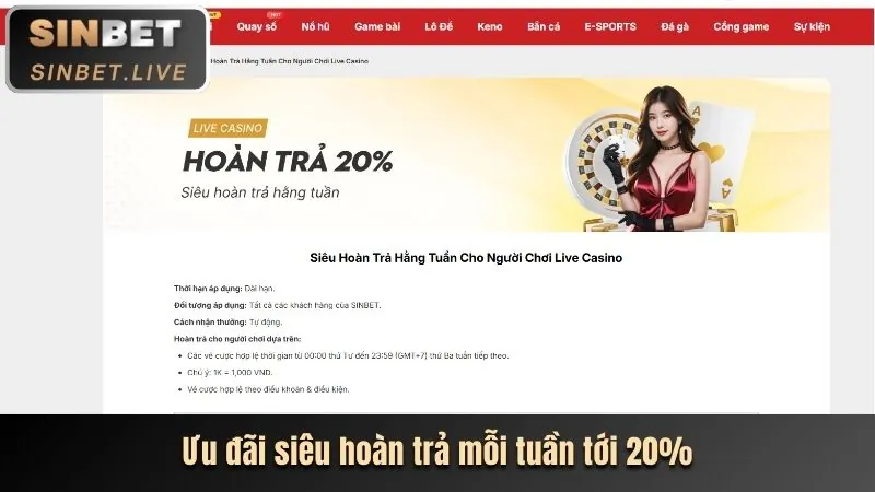 Biểu tượng khuyến mãi độc quyền
